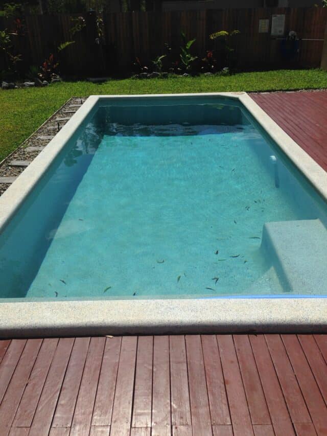 Pool built by Pools by Boris & Larry Batchelor. Pool finishes in Fijian Seas, exposed coping done in Kirra Blue.